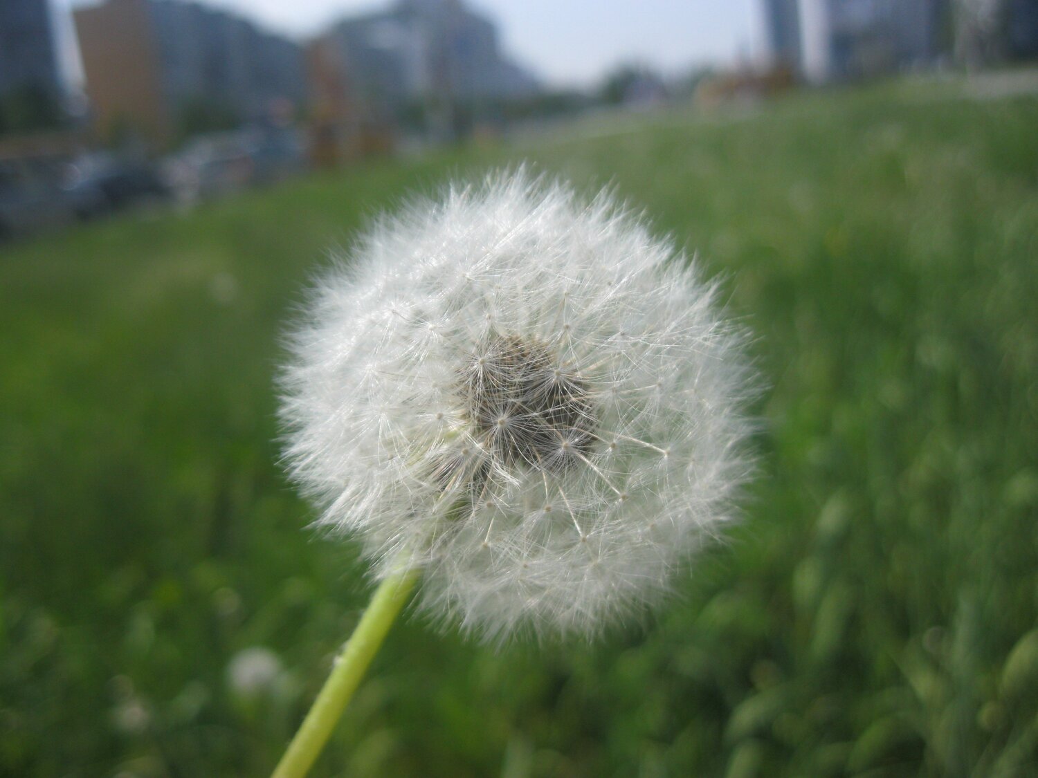 Photo #1342127