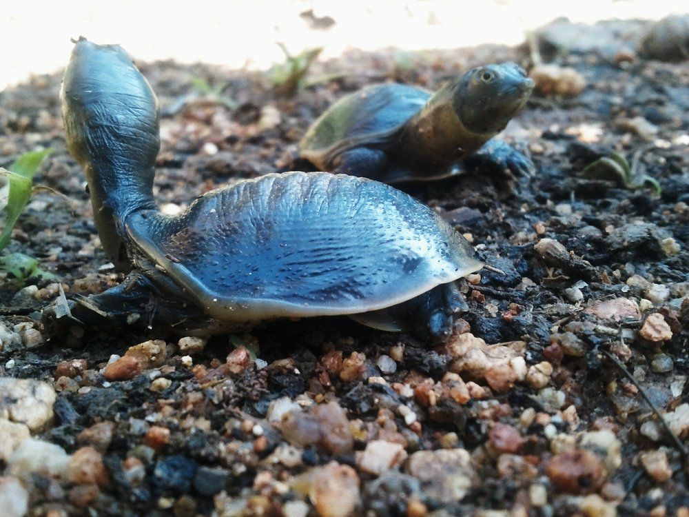 Beauty of nature