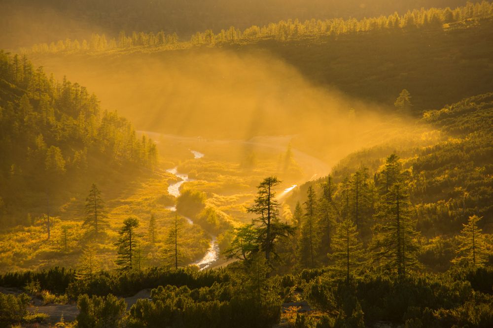 осенний вечер
