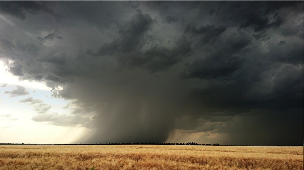 Летний дождь