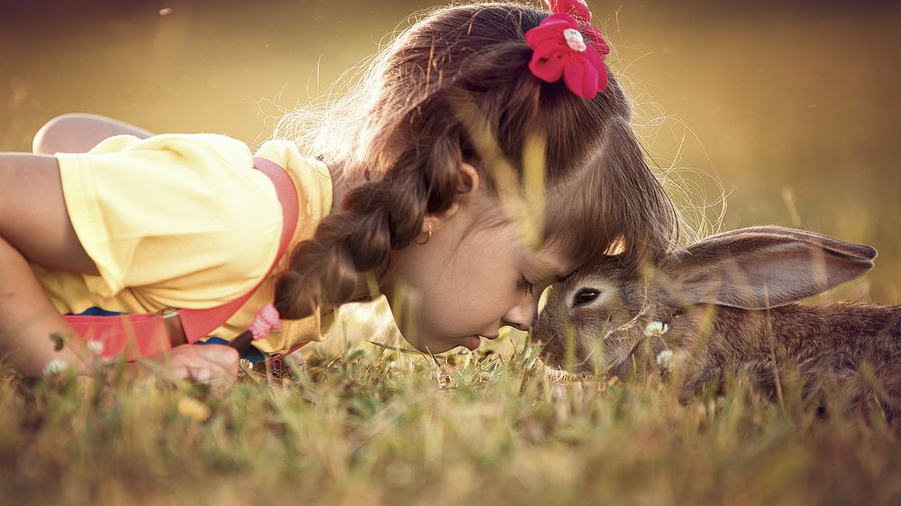 Мы с тобой одной крови