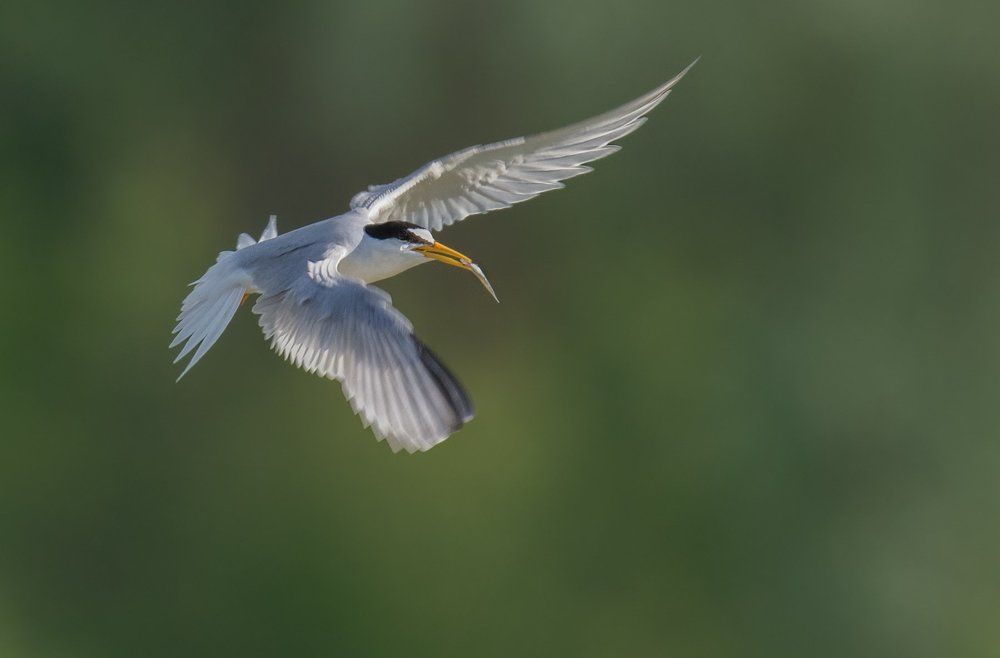 Всё лучшее — детям!