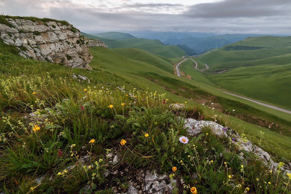 В ожидании рассвета