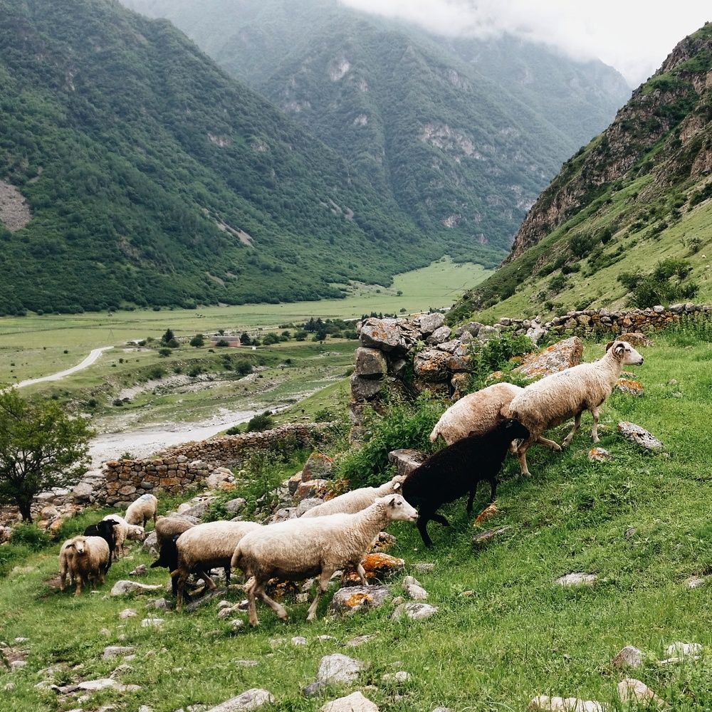 Жизнь в горах