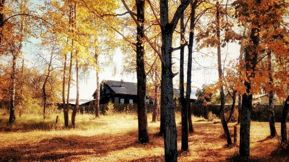 Осень во Фролищах