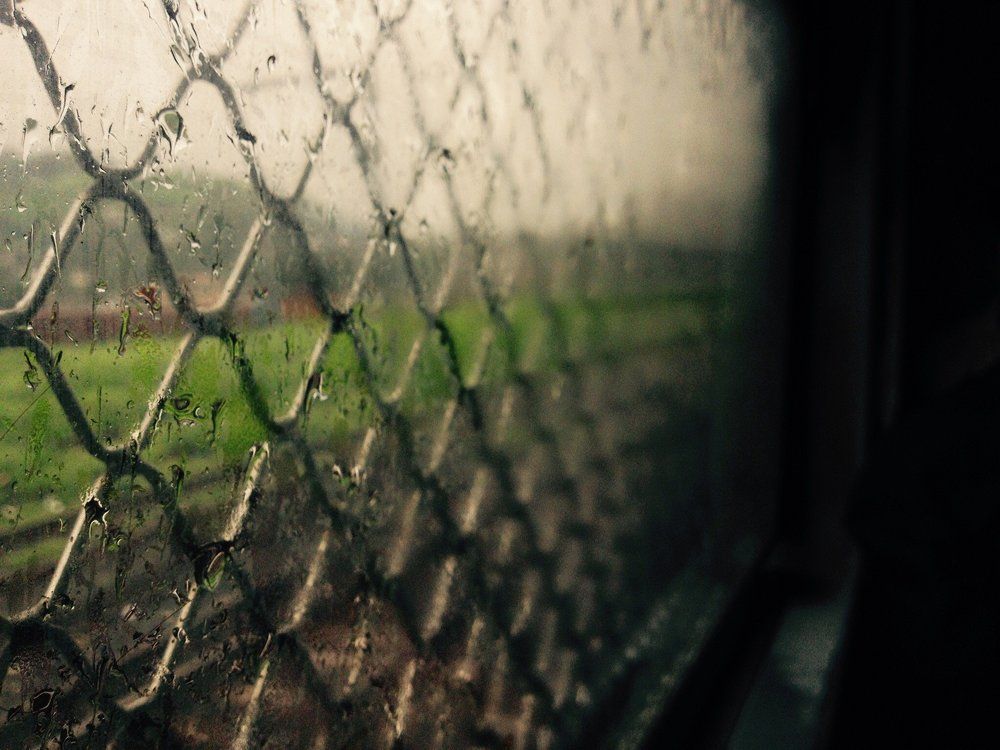 Monsoon delight