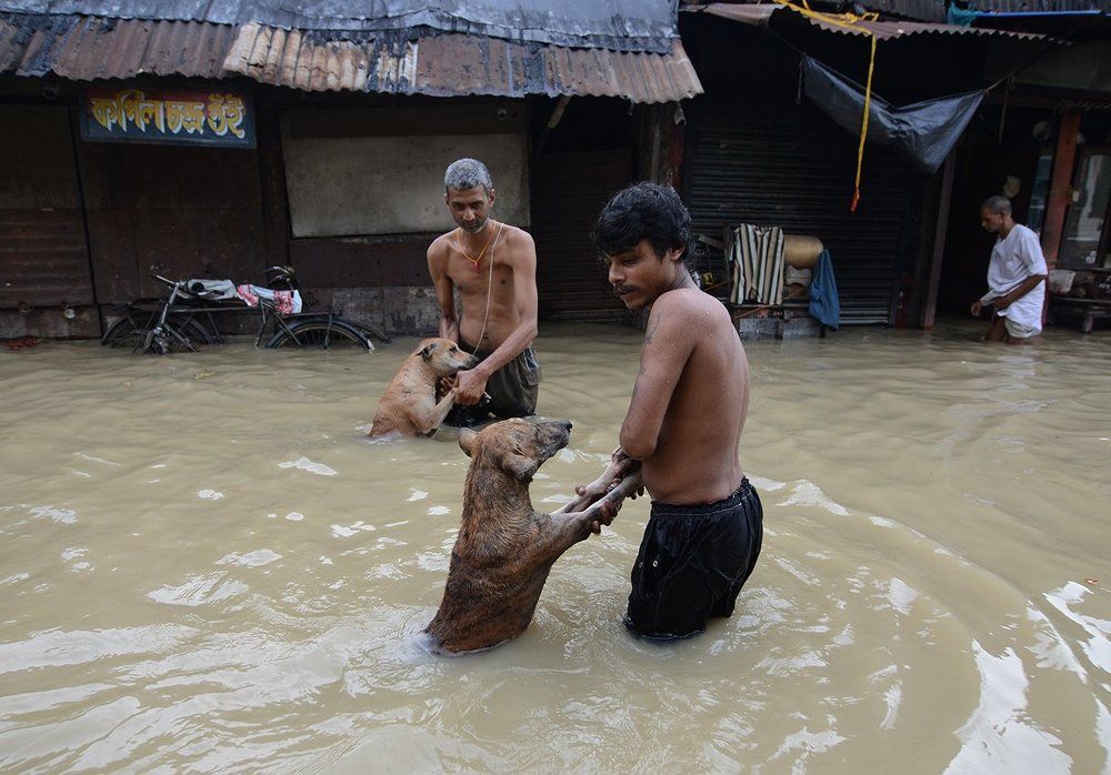 Flood in Kolkata