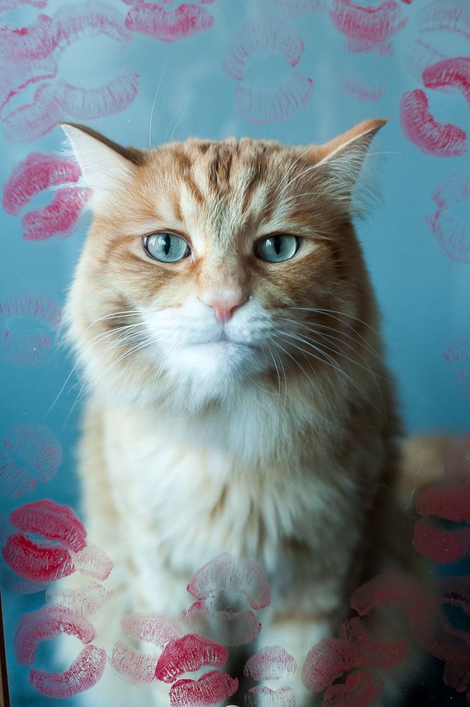 Photograph by Ирина Логовская