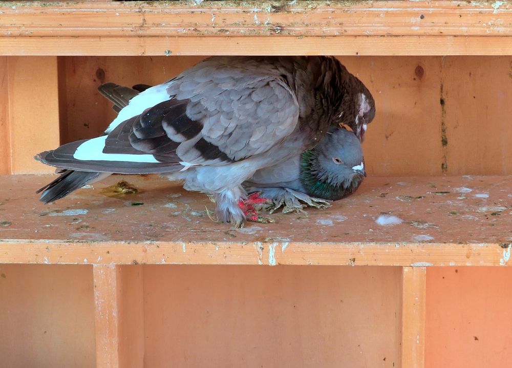 Photograph by Maria Isabel Moreira