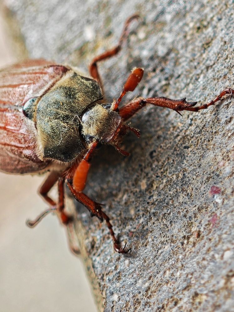 Photograph by Татьяна Соколовская