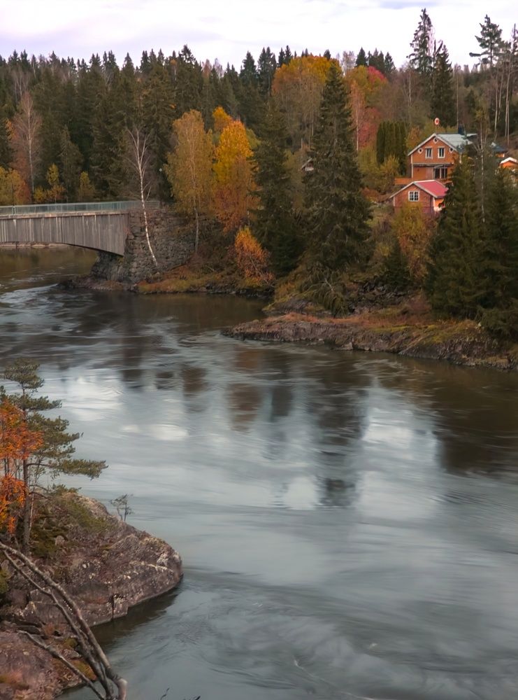 Фотография автора Alina Filimonova