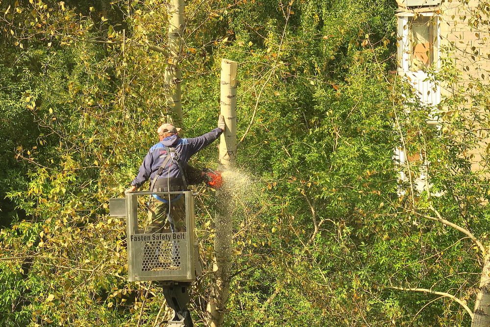 Photograph by Орл Про