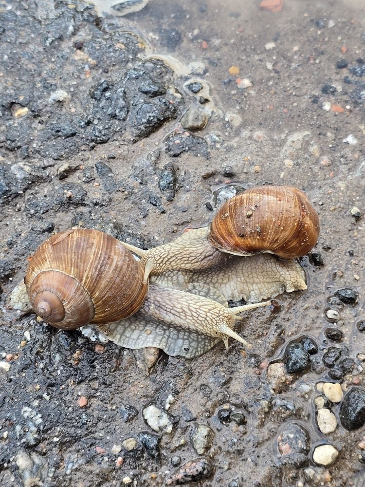 Photograph by Елена Гордеева