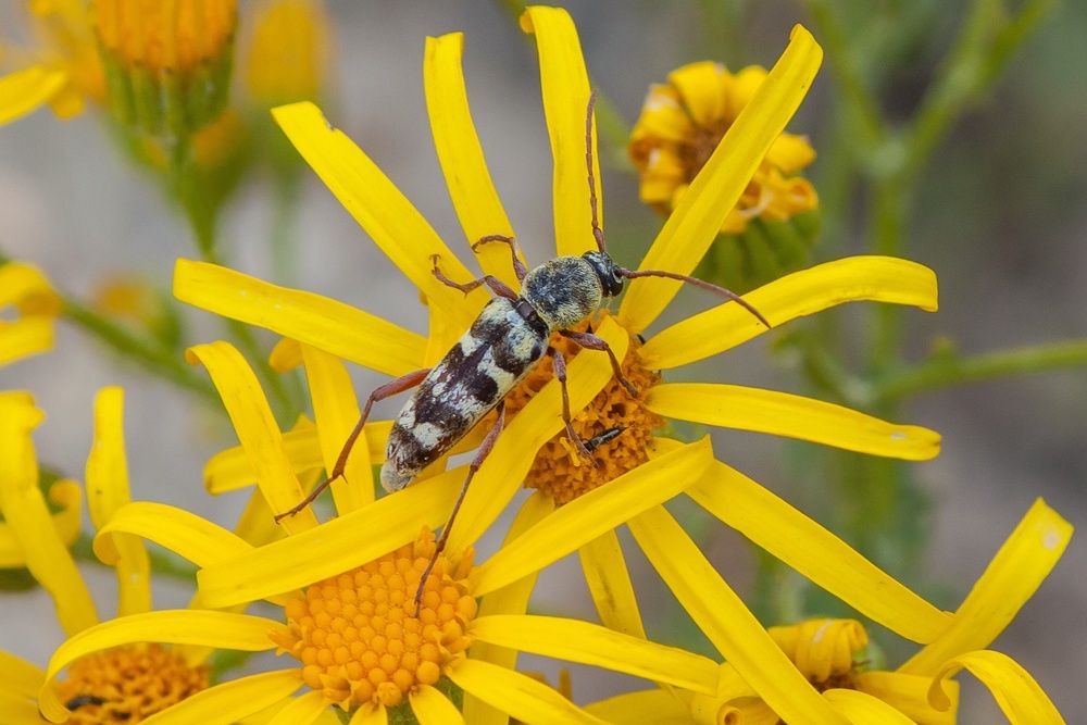 Photograph by Валерий Федяров