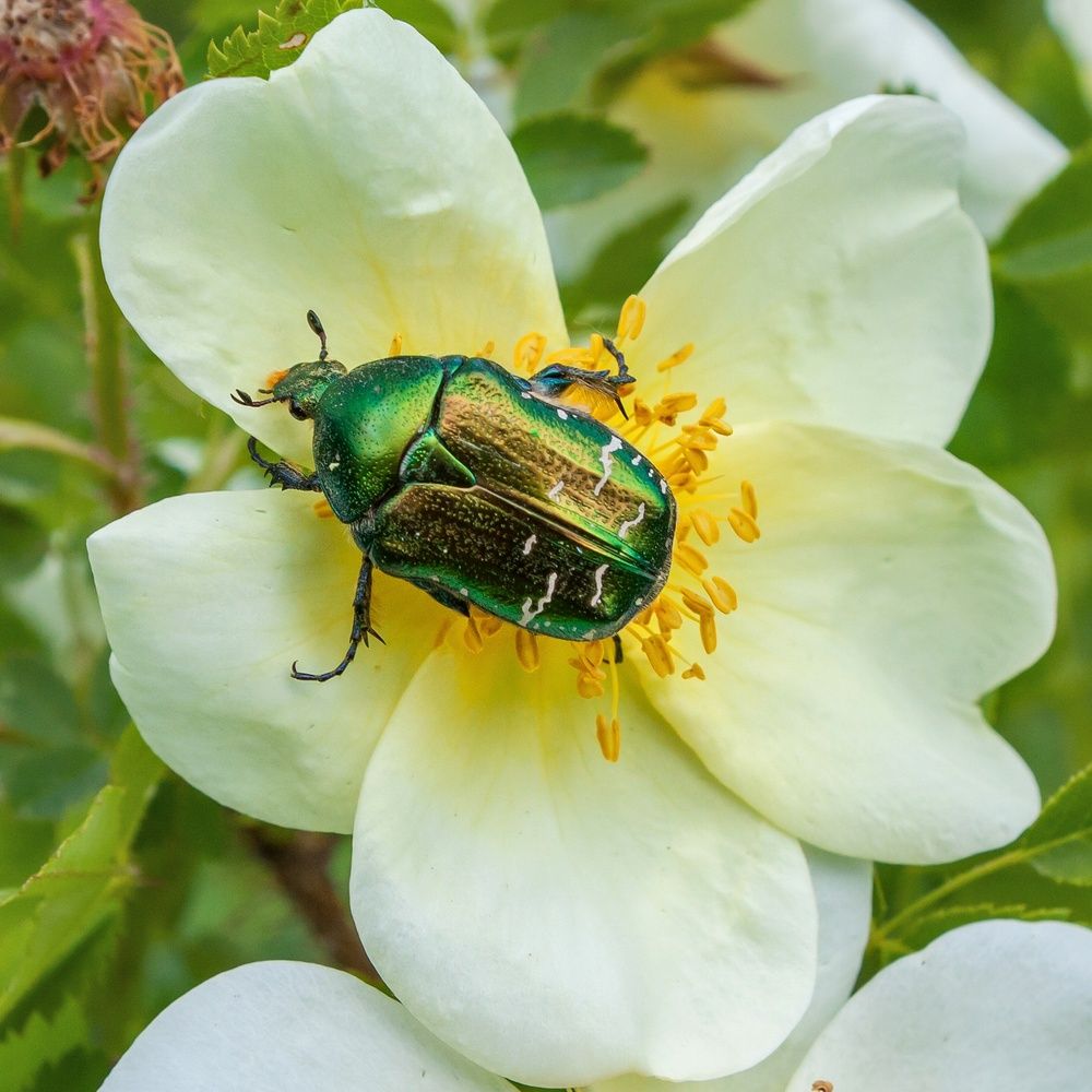 Photograph by Валерий Федяров