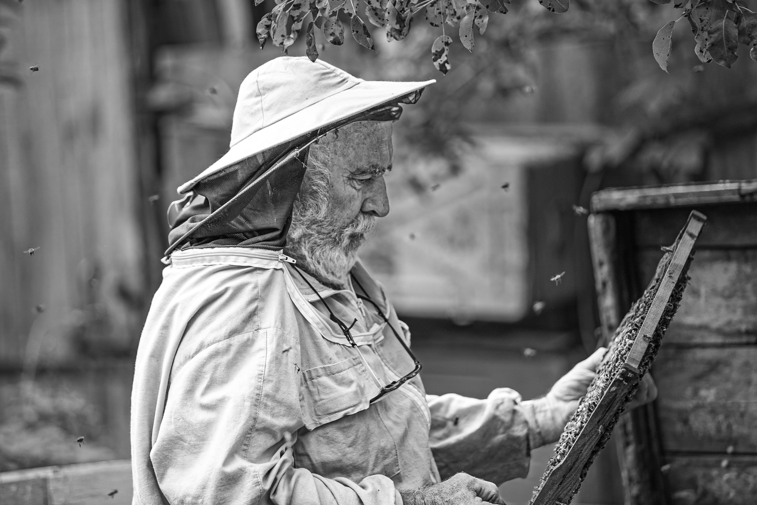 Photograph by Лупина Михаил