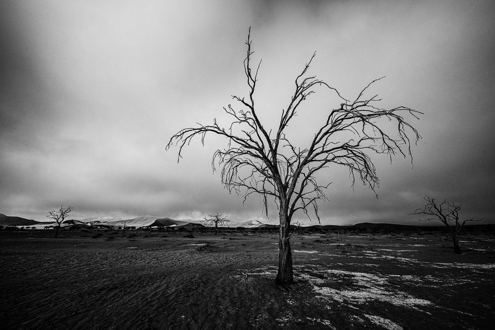 Фотография автора Nikolay Slutskiy