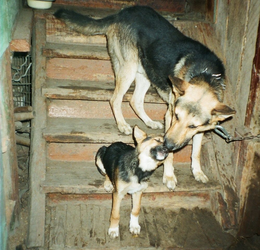 Photograph by Татьяна Иваненкова