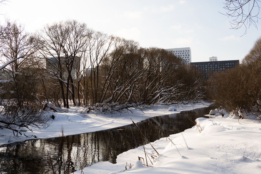 Photograph by Александр Луппов