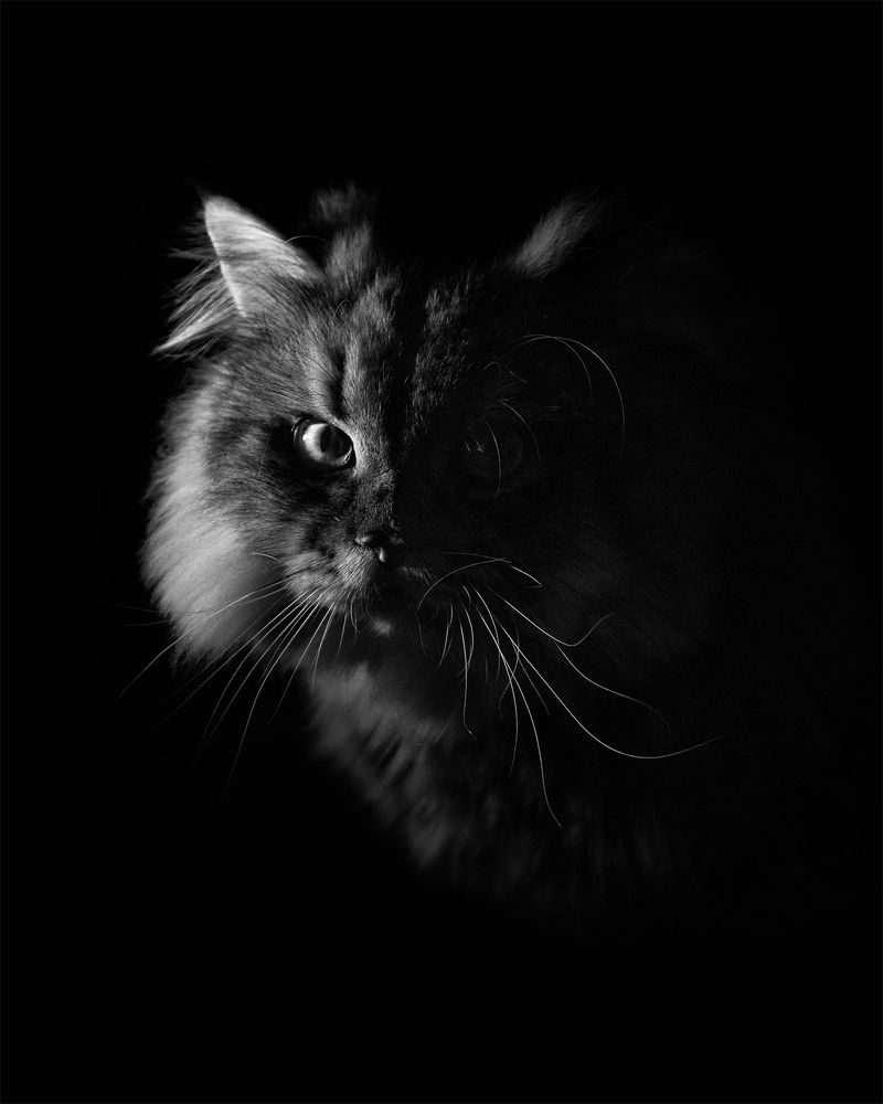 Photograph by Светлана Прокофьева