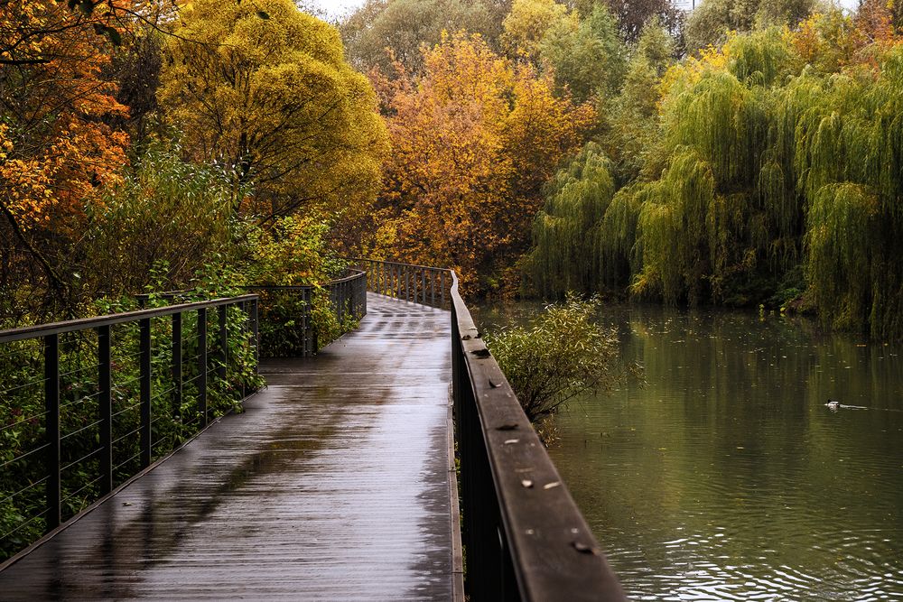 Photograph by Александр Луппов