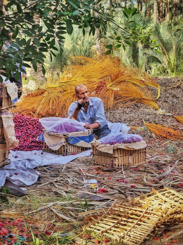 Photograph by Hanan Elmahmoudy