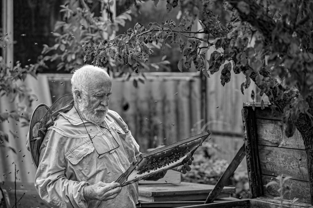 Photograph by Лупина Михаил