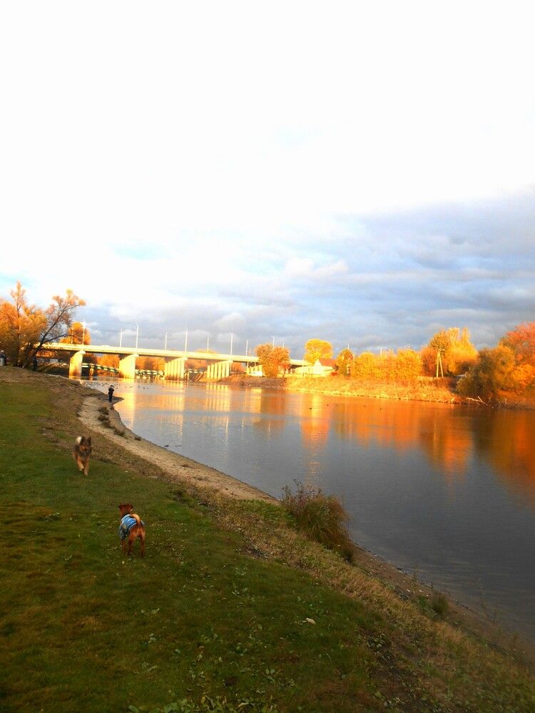 Photograph by Anyamaly