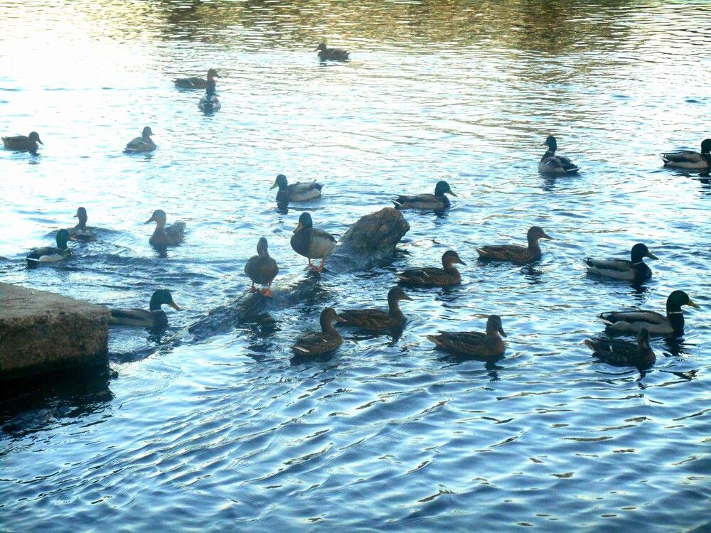 Photograph by Anyamaly