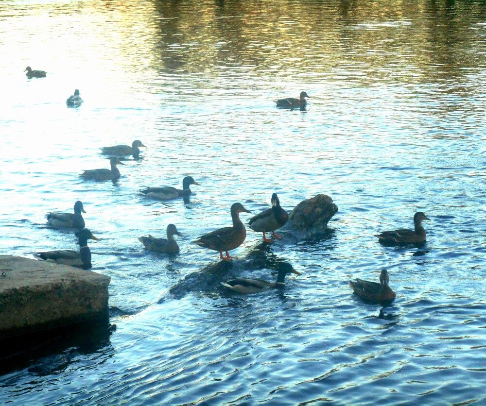 Photograph by Anyamaly