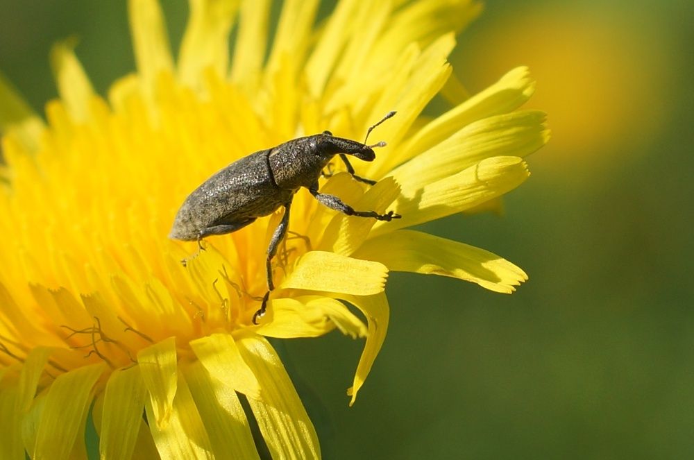 Photograph by Ольга Слугина