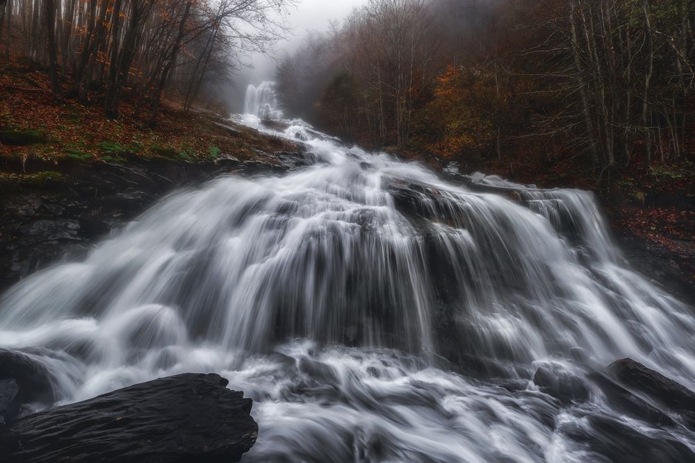 Photograph by Andrea Curzi