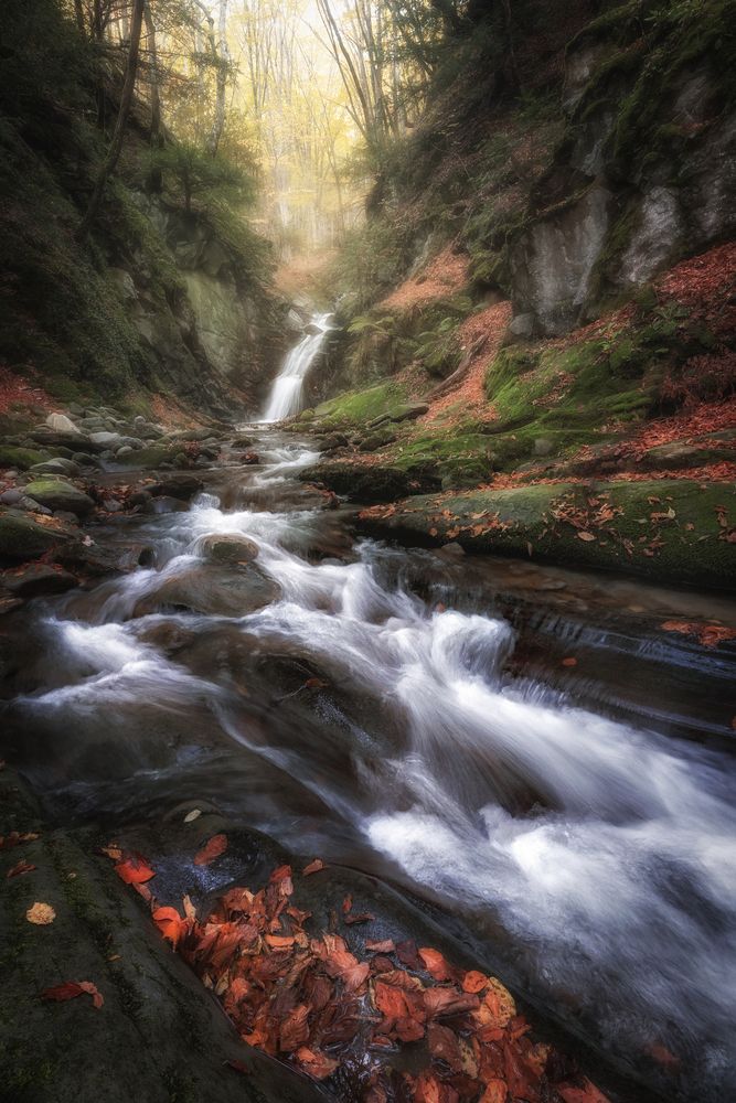 Photograph by Andrea Curzi