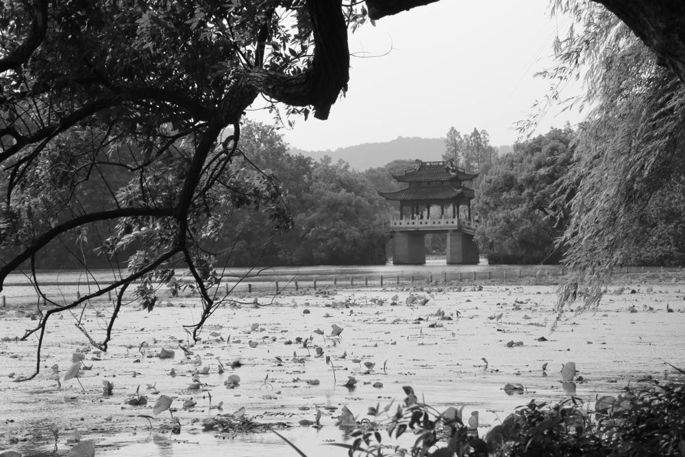 Photograph by KateAkh