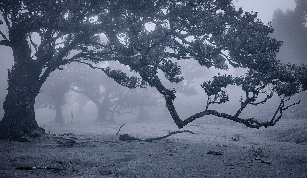 Photograph by Boris Bekelman