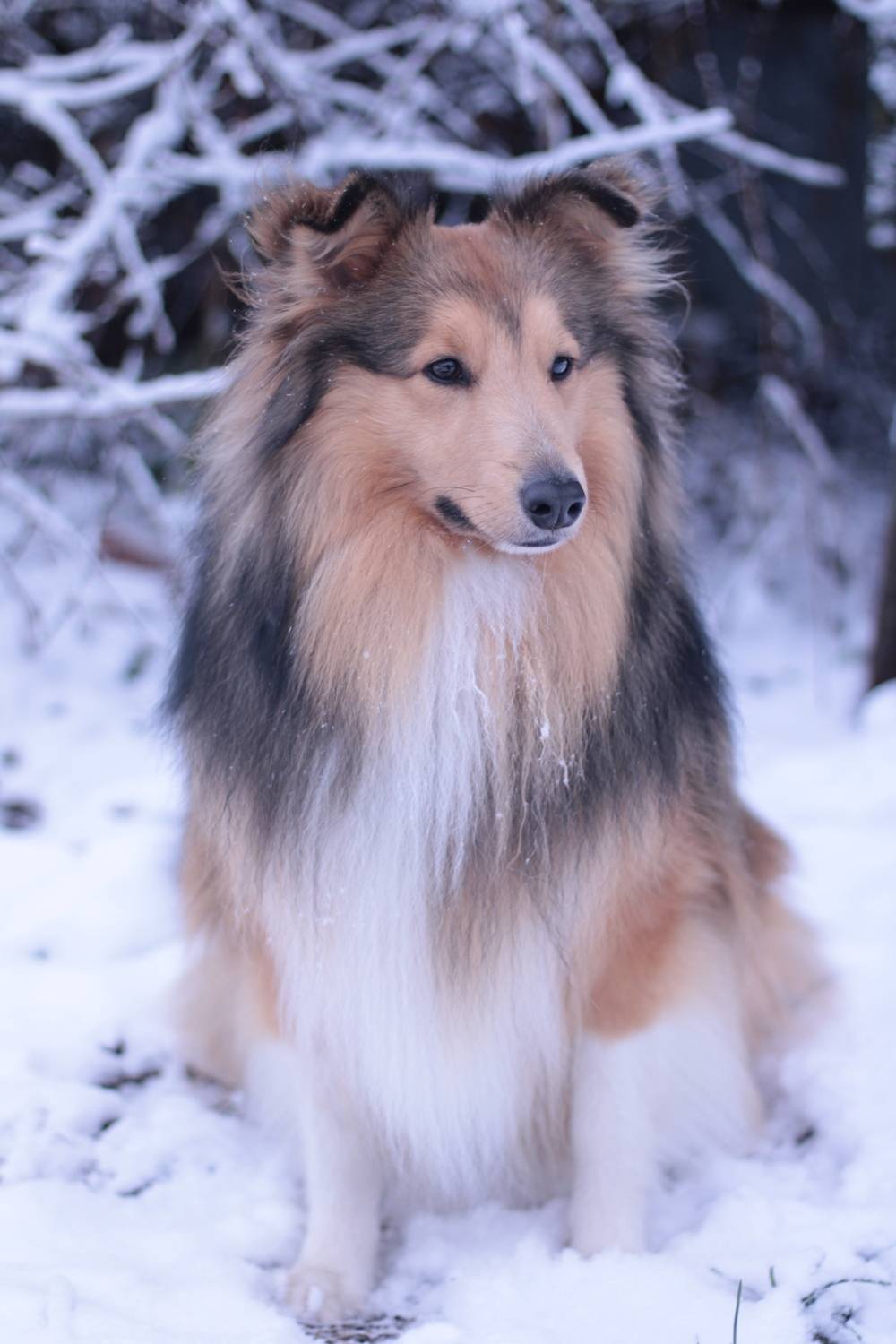 Photo #13400925