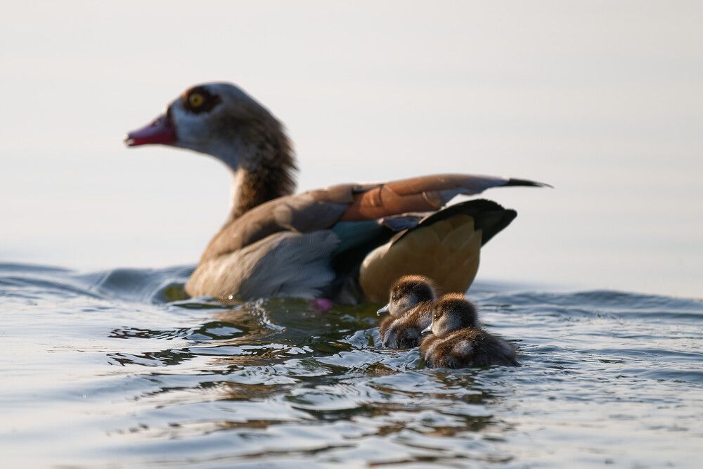 Photograph by Timofey Vlasov