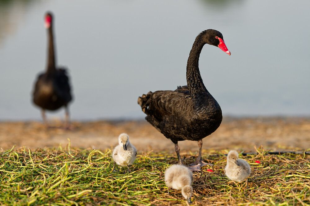 Photograph by Timofey Vlasov