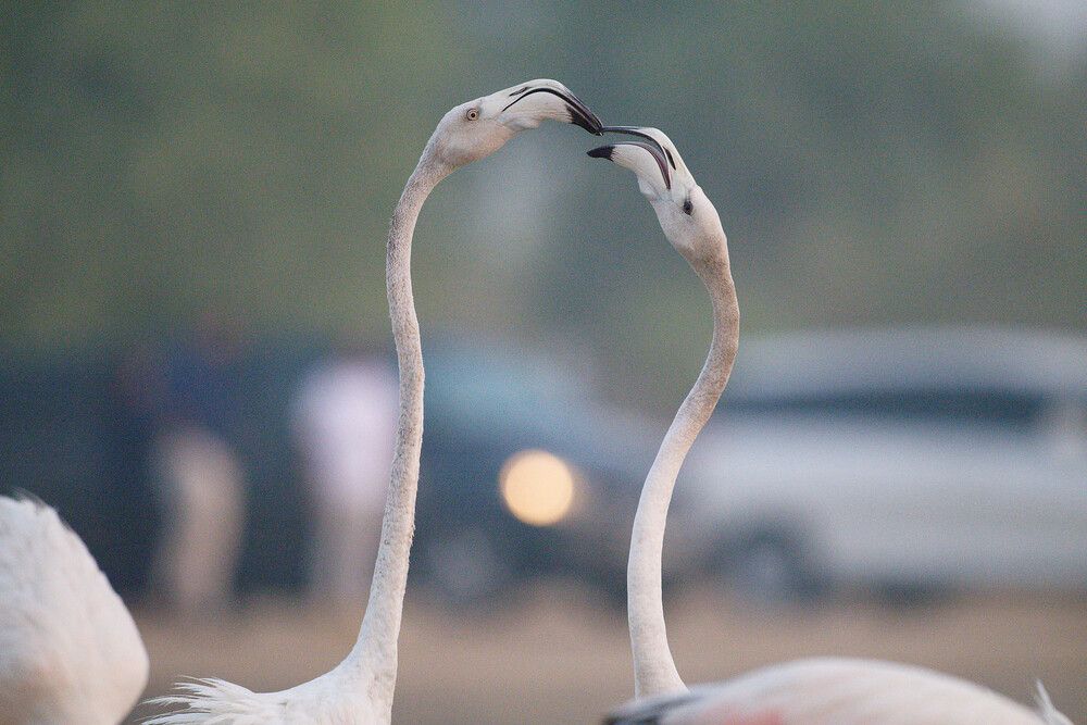 Photograph by Timofey Vlasov