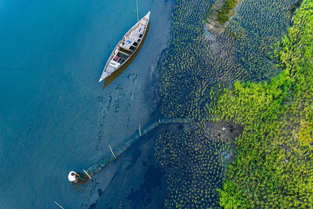 Life Along the Water’s Edge