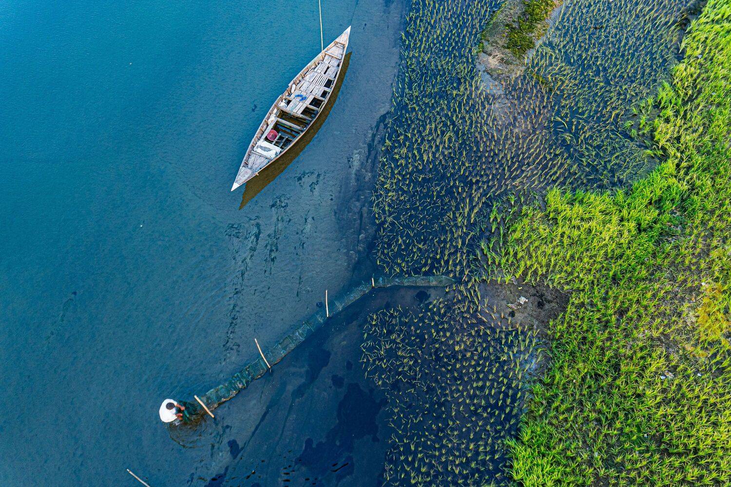 Life Along the Water’s Edge
