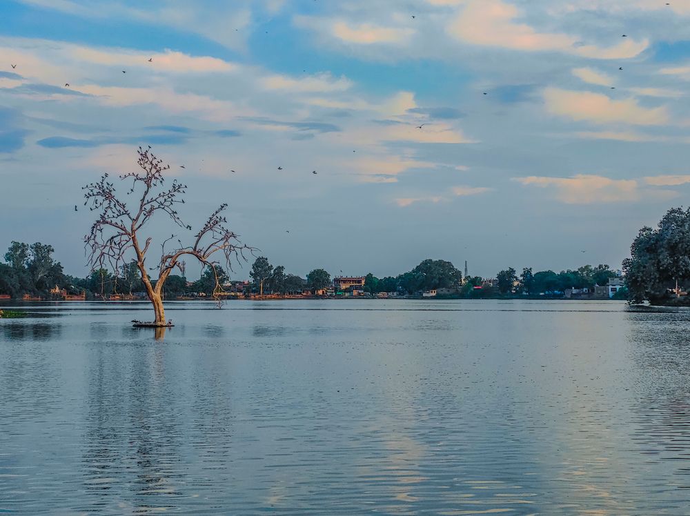 Фотография автора Abhishek Singh