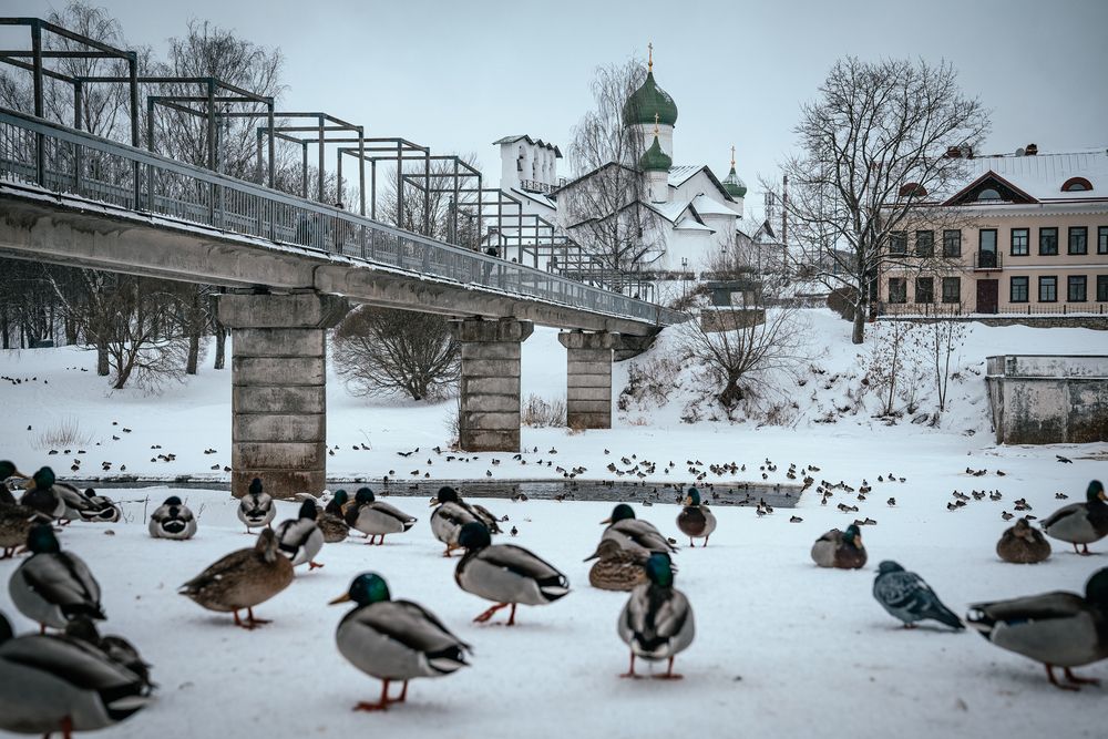 Photograph by Светлана Шахин