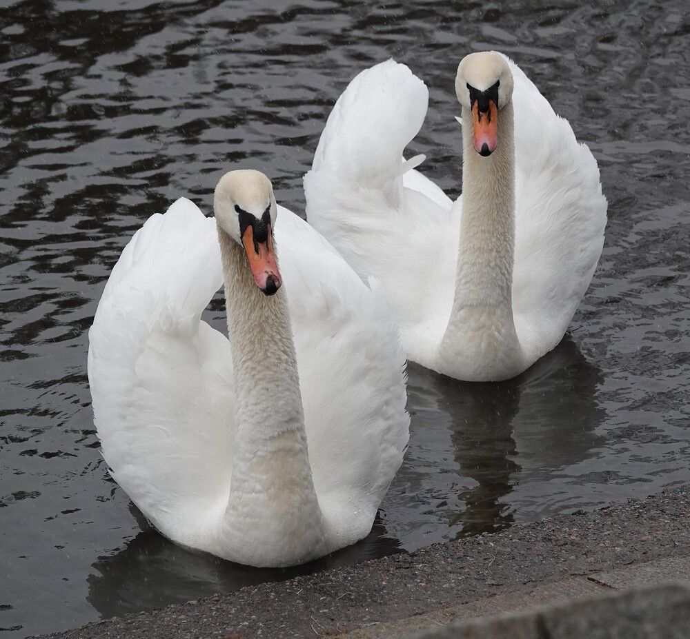 Photograph by Zakharov Matvey