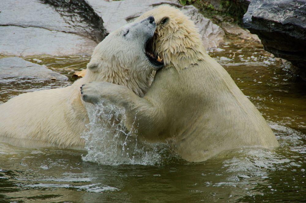 Фотография автора Sergej Roor