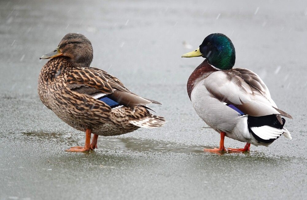 Photograph by Zakharov Matvey