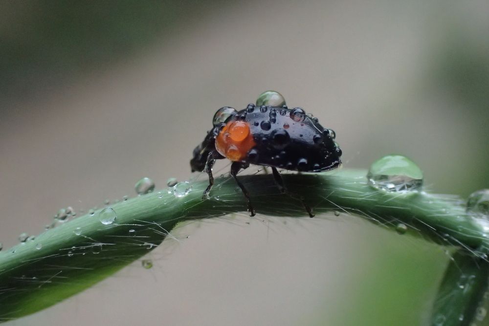 Photograph by Станислав Карташов