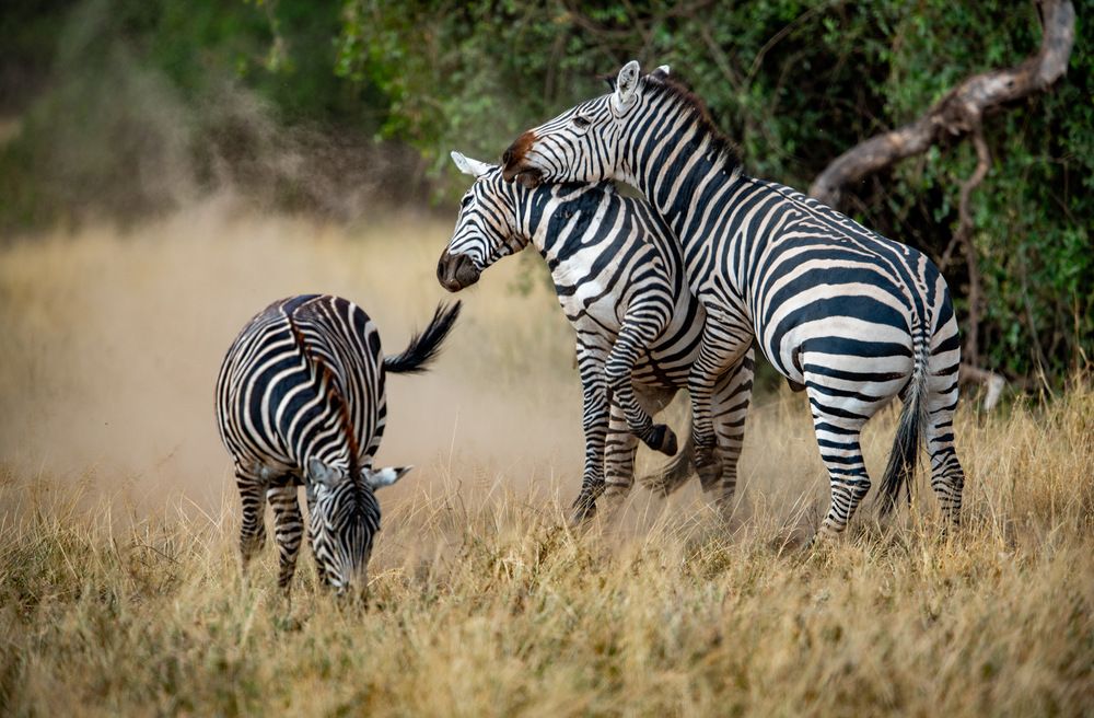 Photograph by Nitin Baste