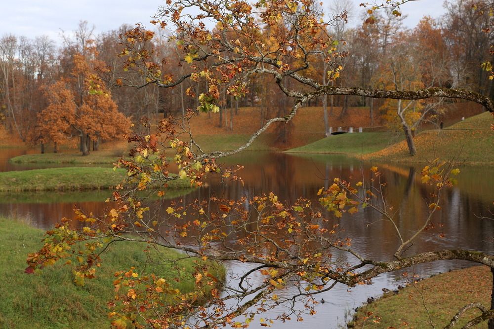 Photograph by Александр Кожевников