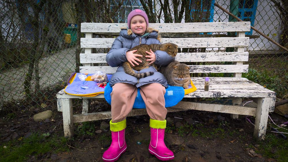 Photograph by Aндрей